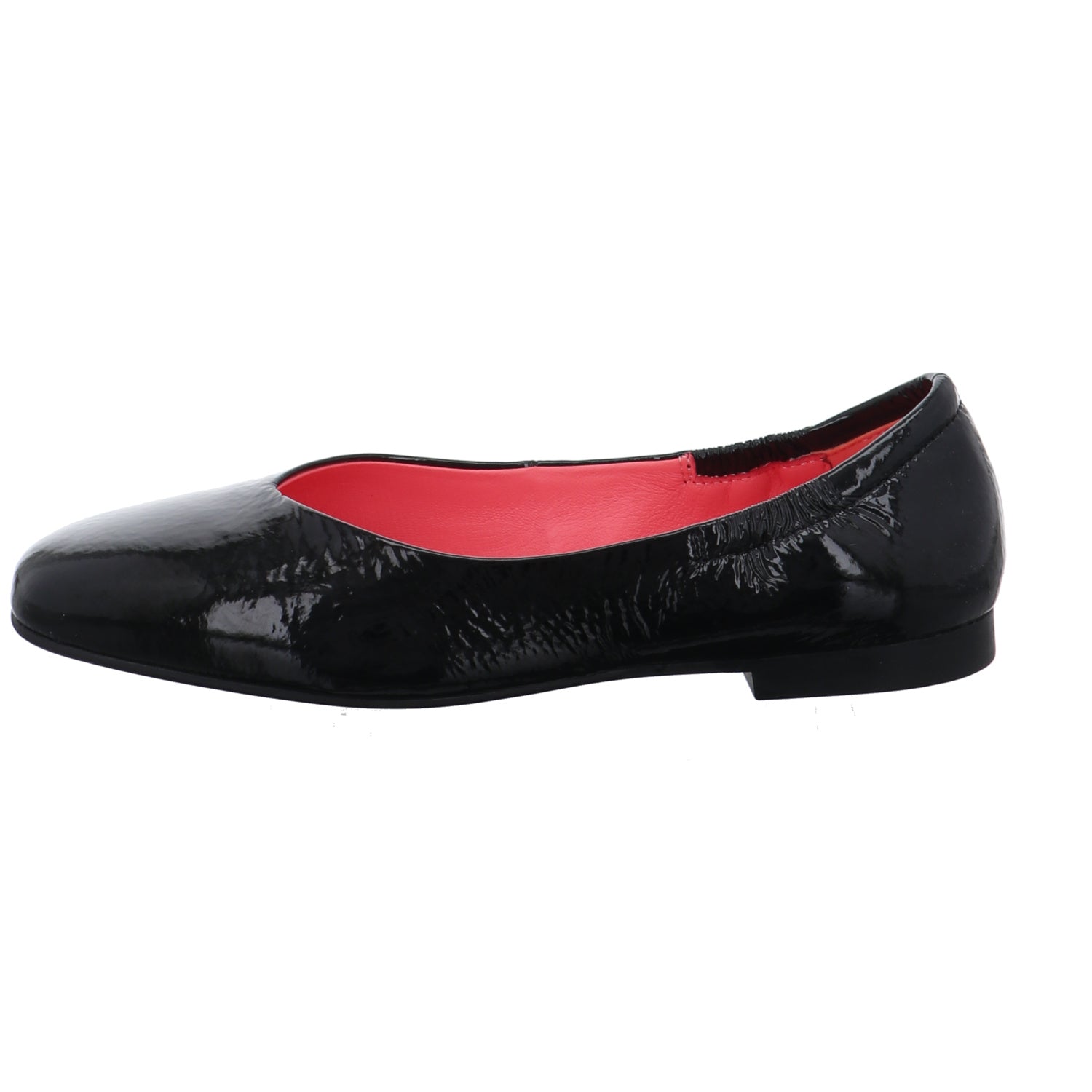 Blackrose I ROME01-BLACK