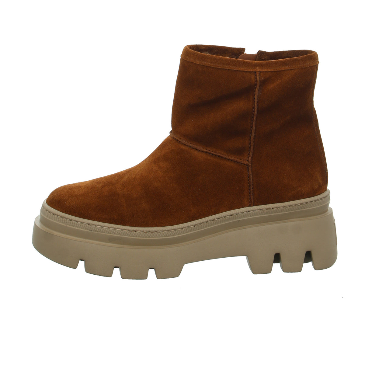 Paul Green | 8113-006