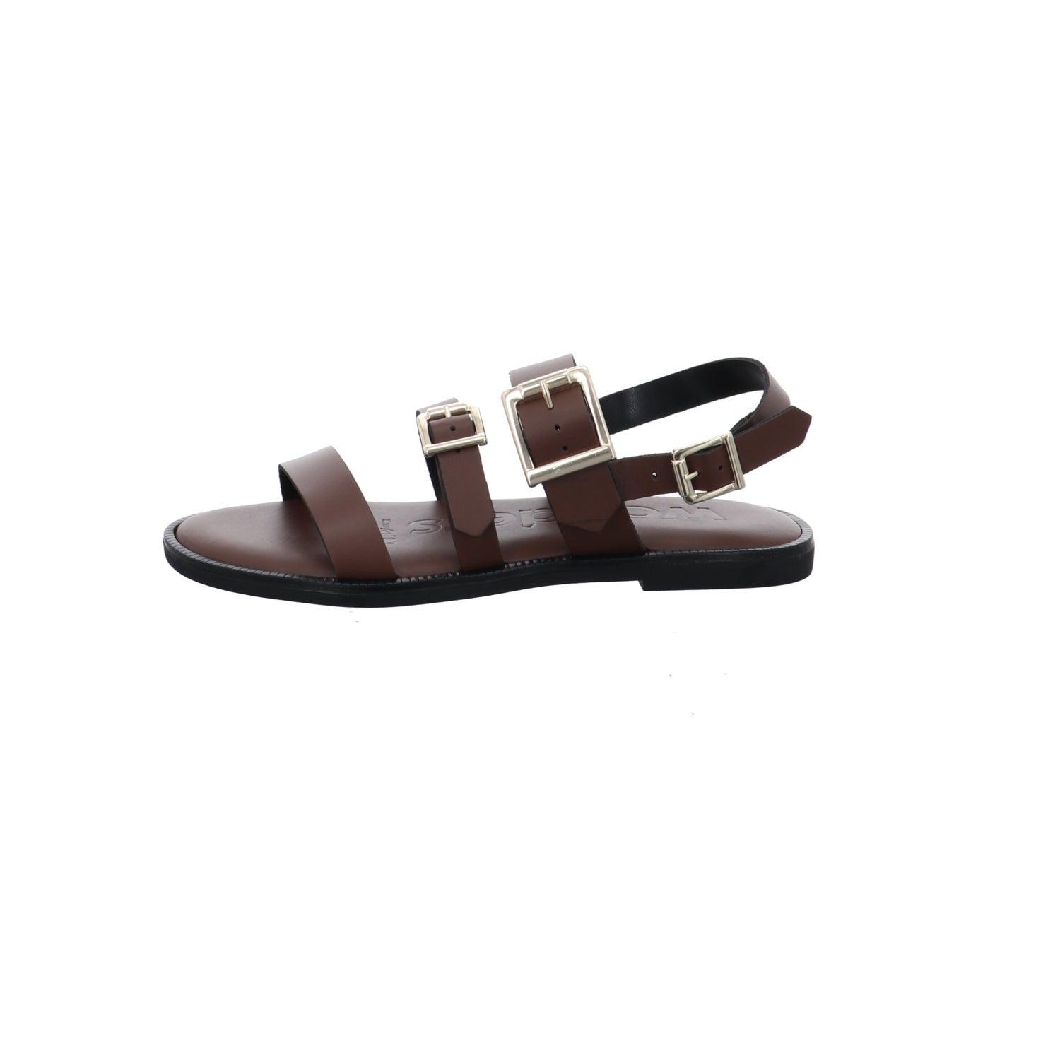 Wonders | AB-1340-TESTA
