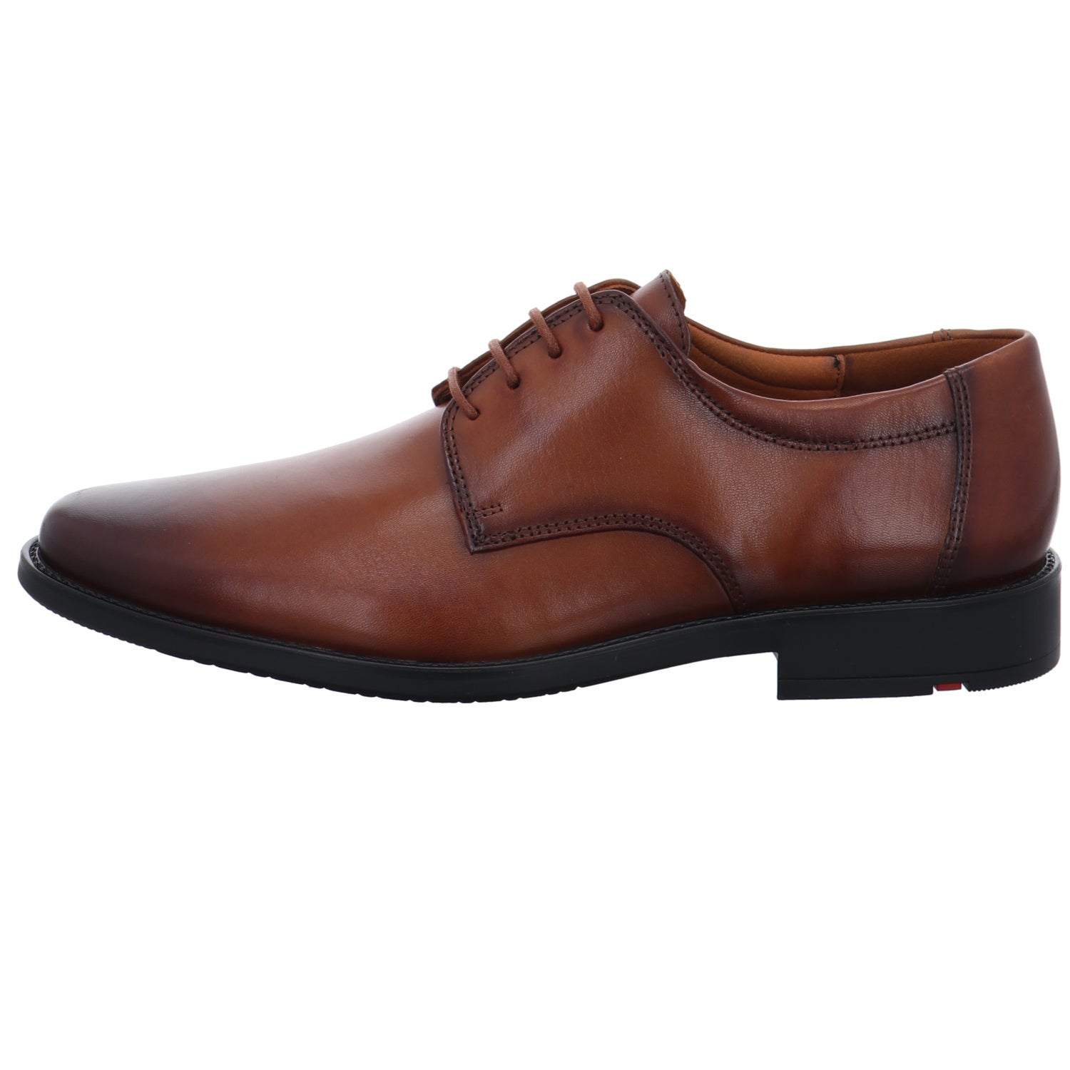 Lloyd | 2550403