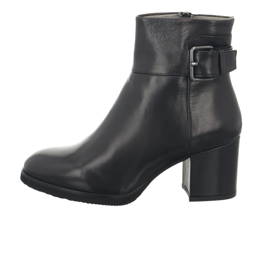 Calpierre | DT536