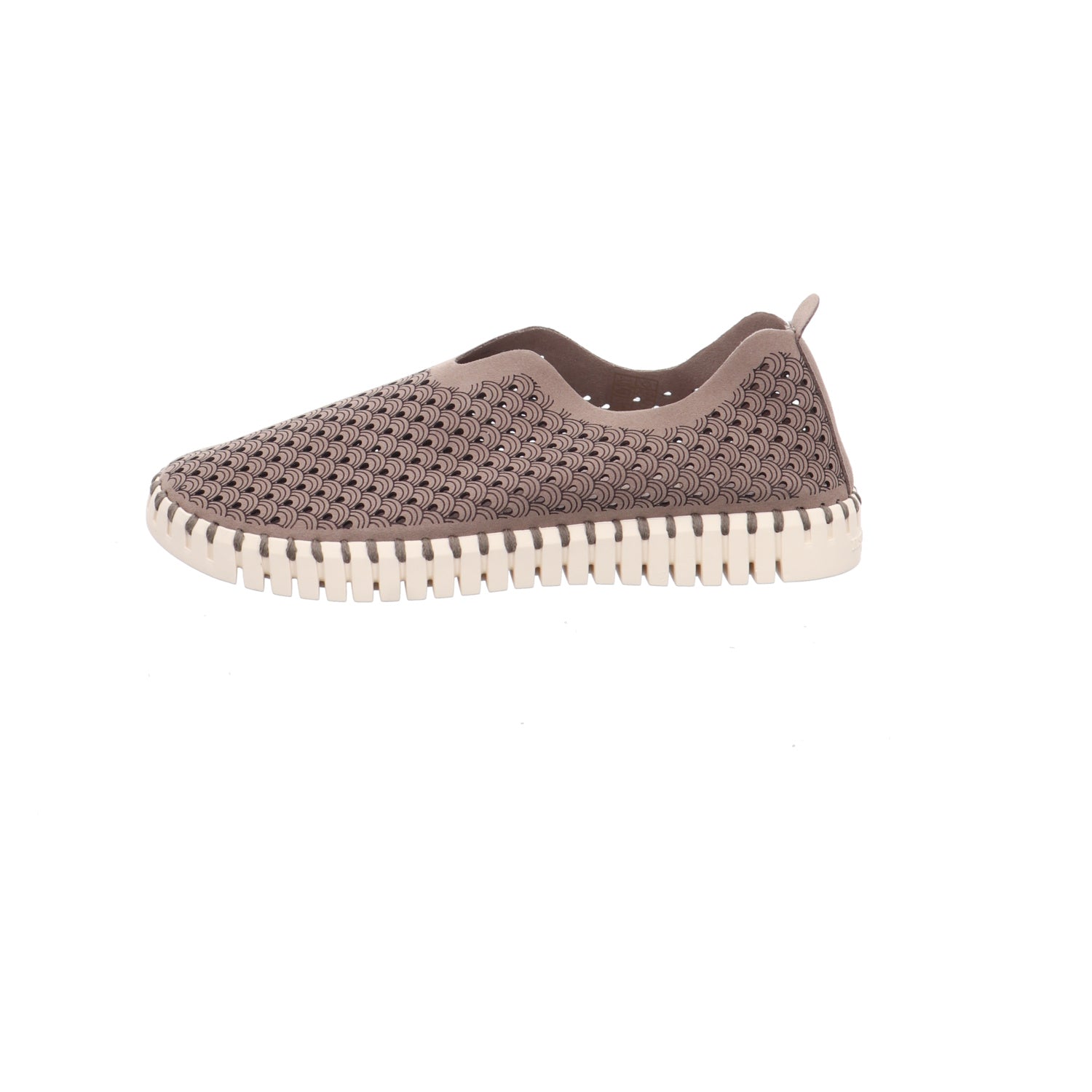 Ilse Jacobsen I TULIP3275-Falcon