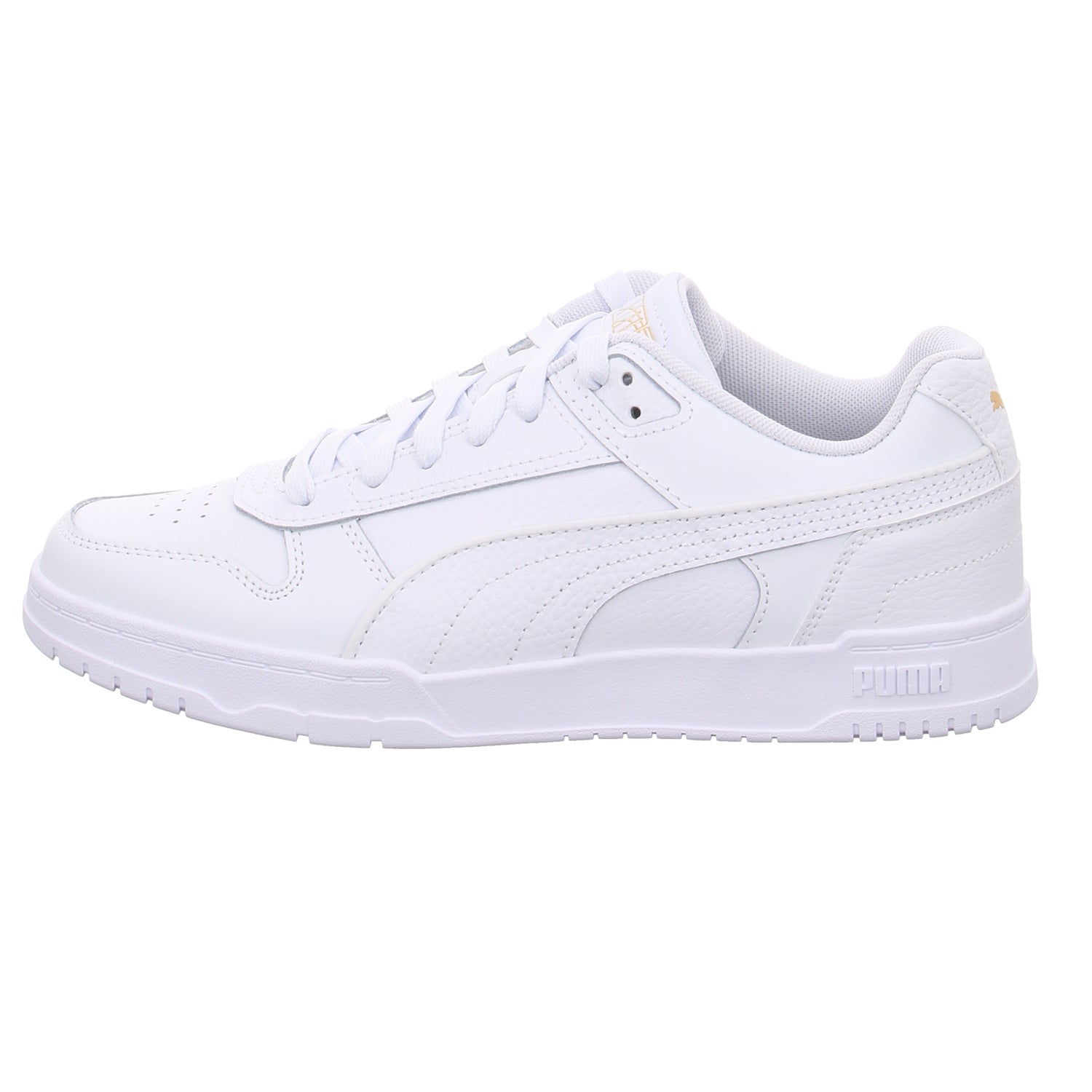 Puma |