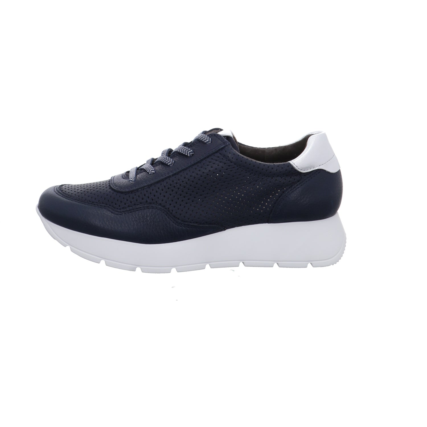 Paul Green I 5440-027