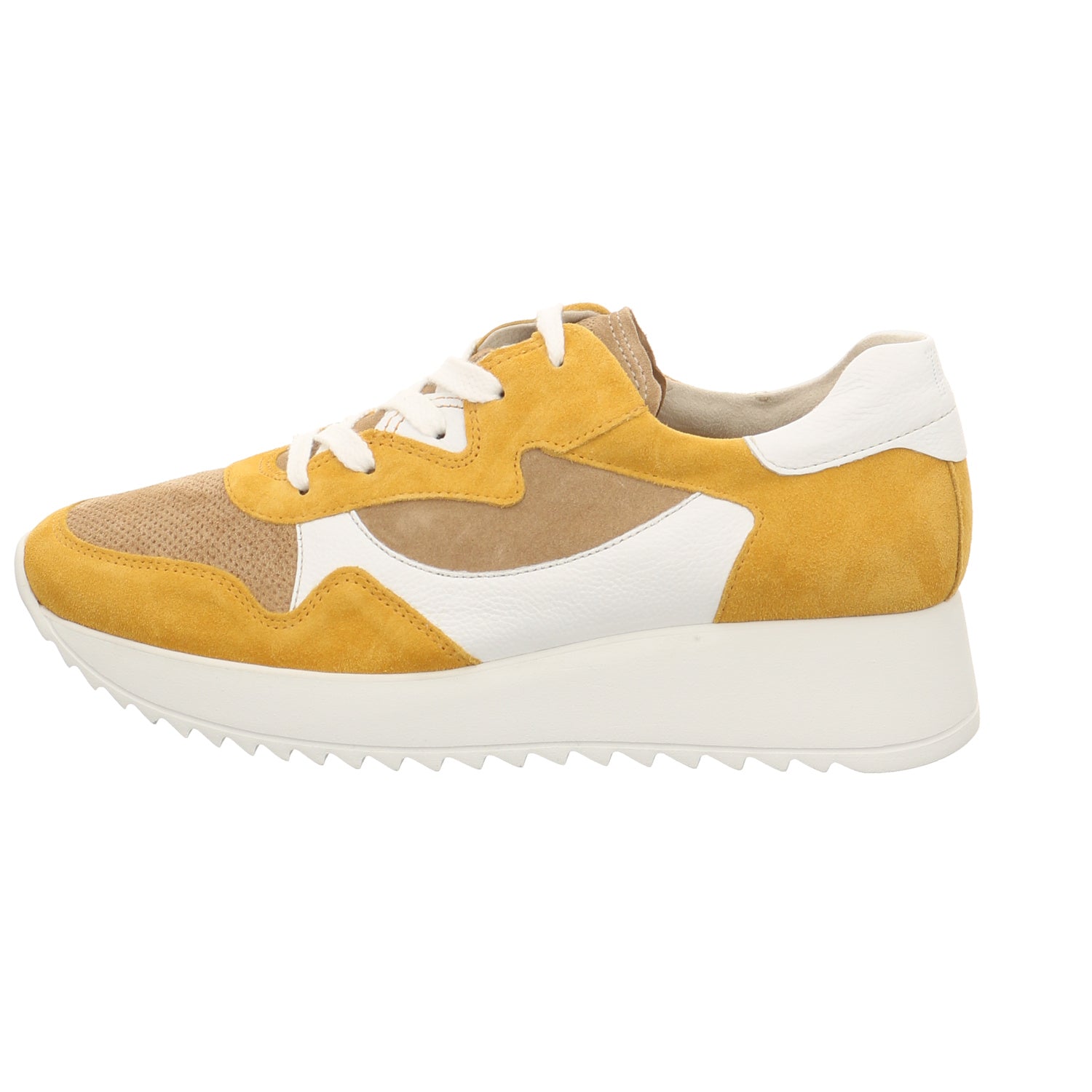 Paul Green | 4949-026