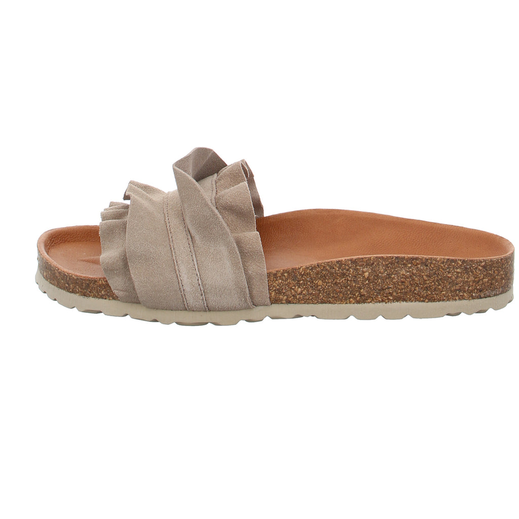 Verbenas | 330062V-0220-746