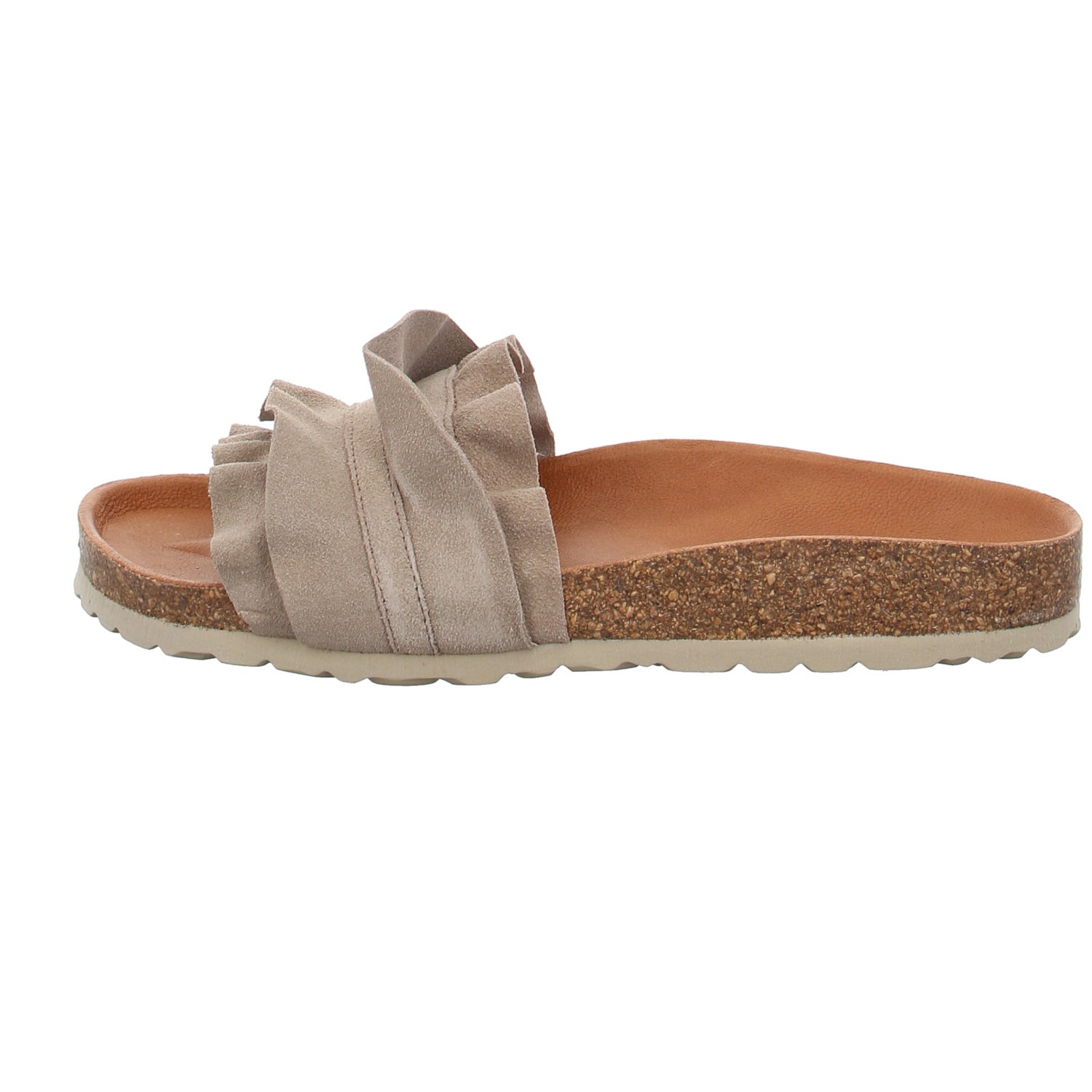 Verbenas | 330062V-0220-746