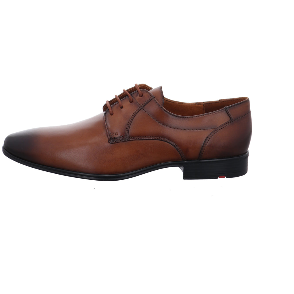 Lloyd | 2550503