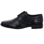 Lloyd | 2550400