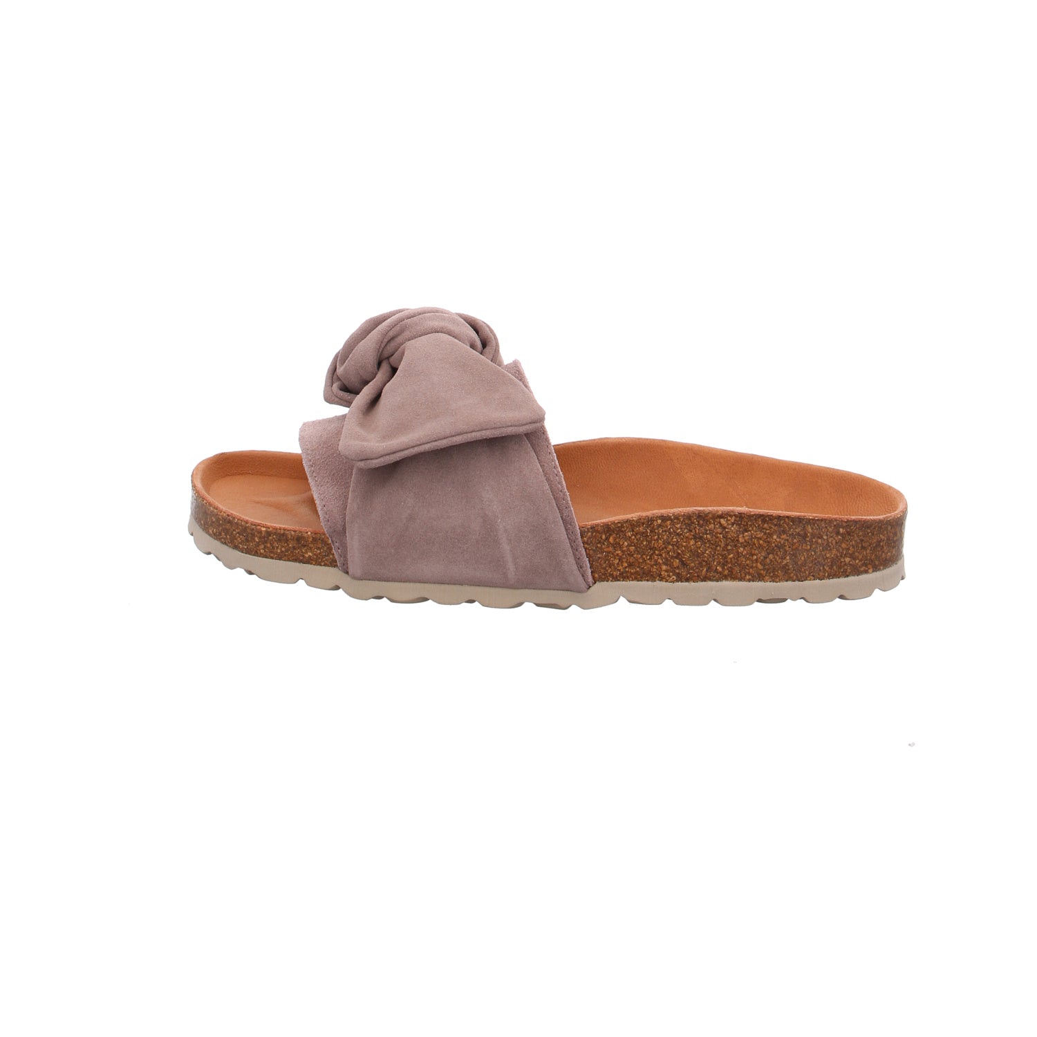 Verbenas | 330047V-0268-746
