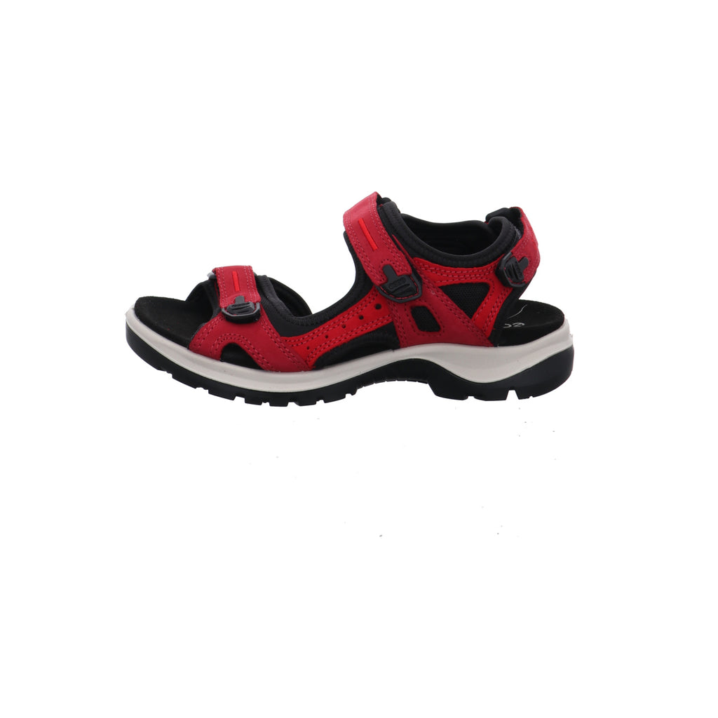 Ecco | 069563/56447