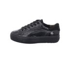 Paul Green | 5320-096