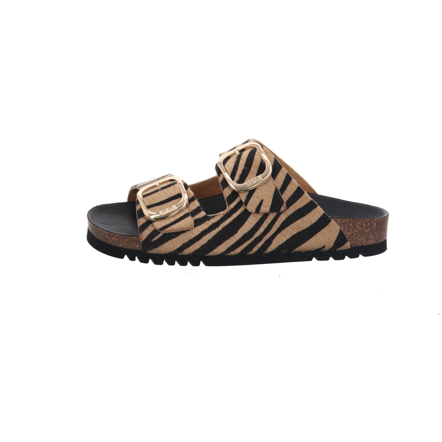 Scholl I F30067-2331