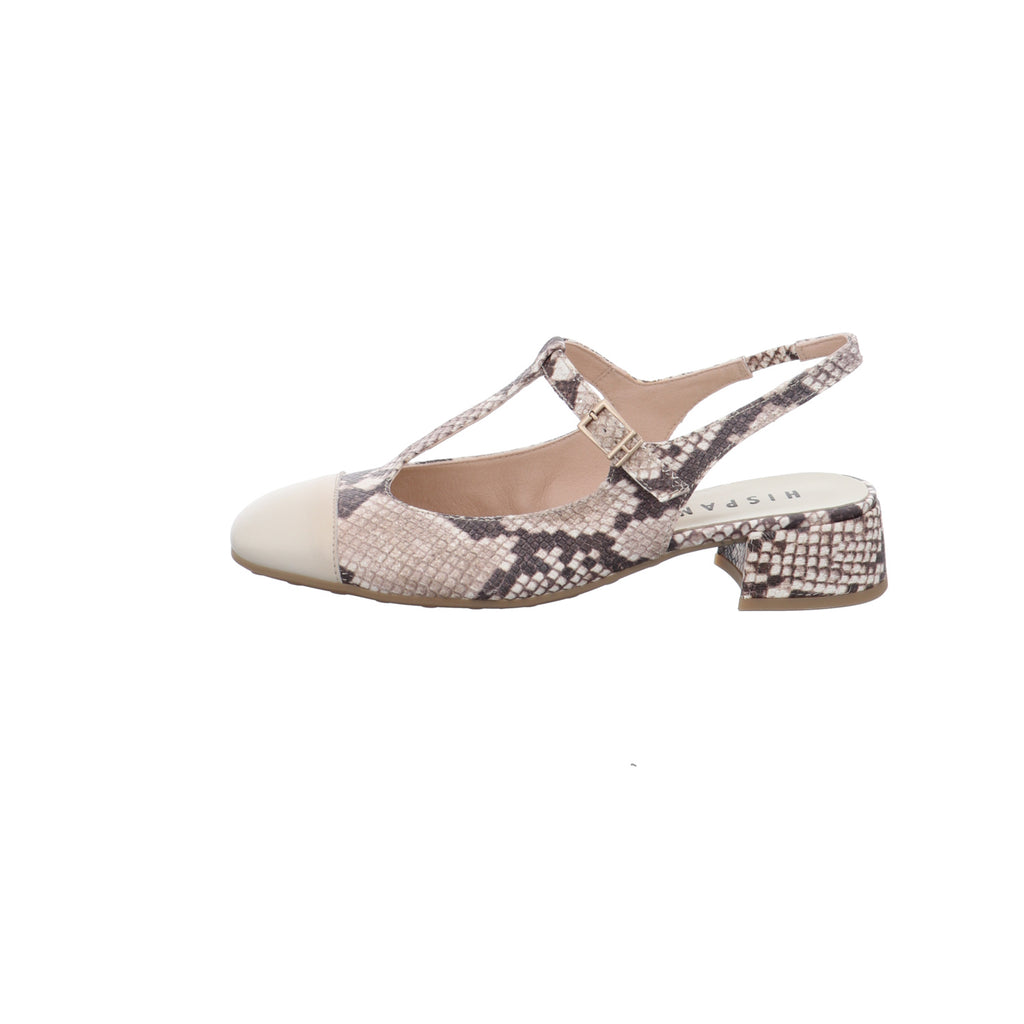 Hispanitas | HV253859-C011