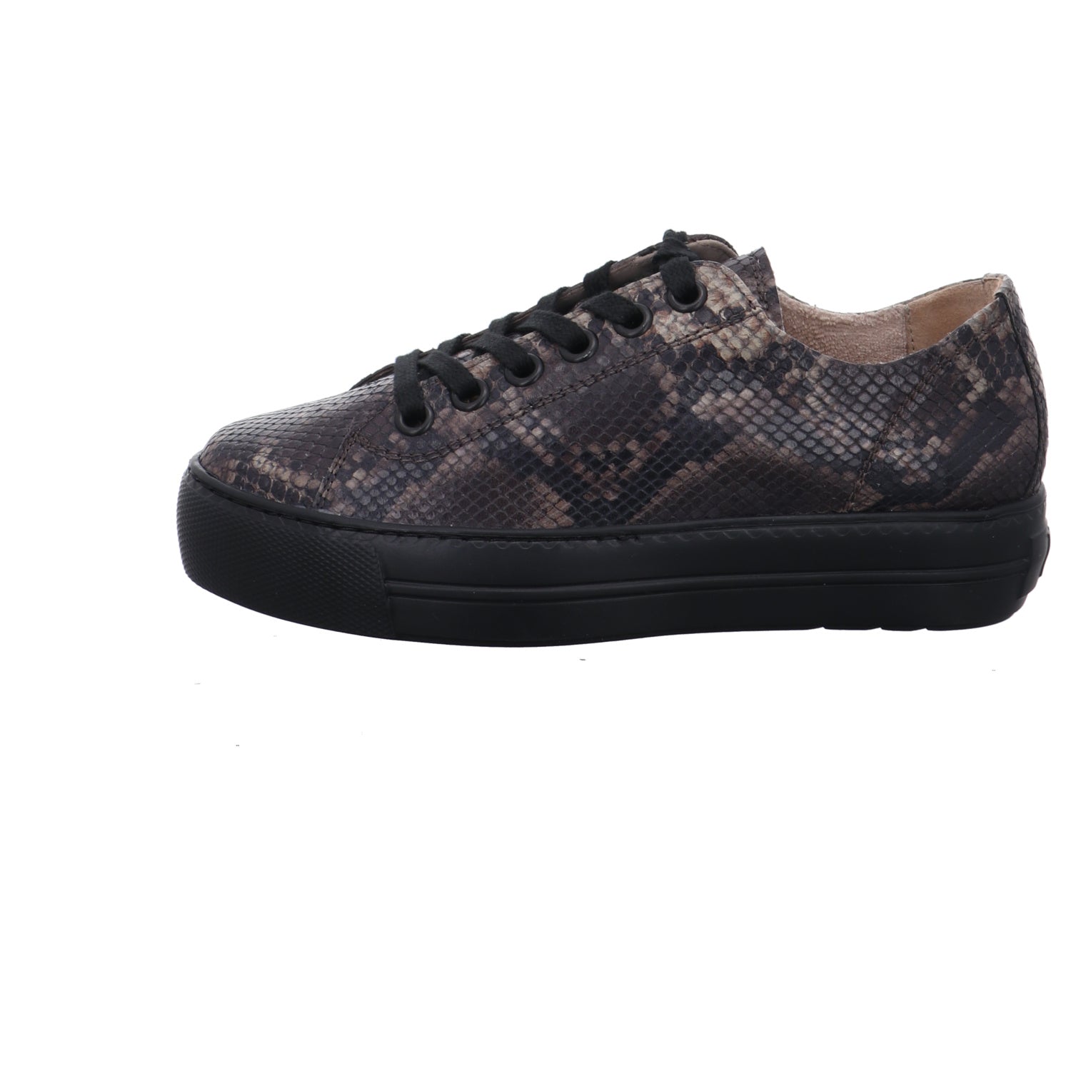 Paul Green | 4790-818