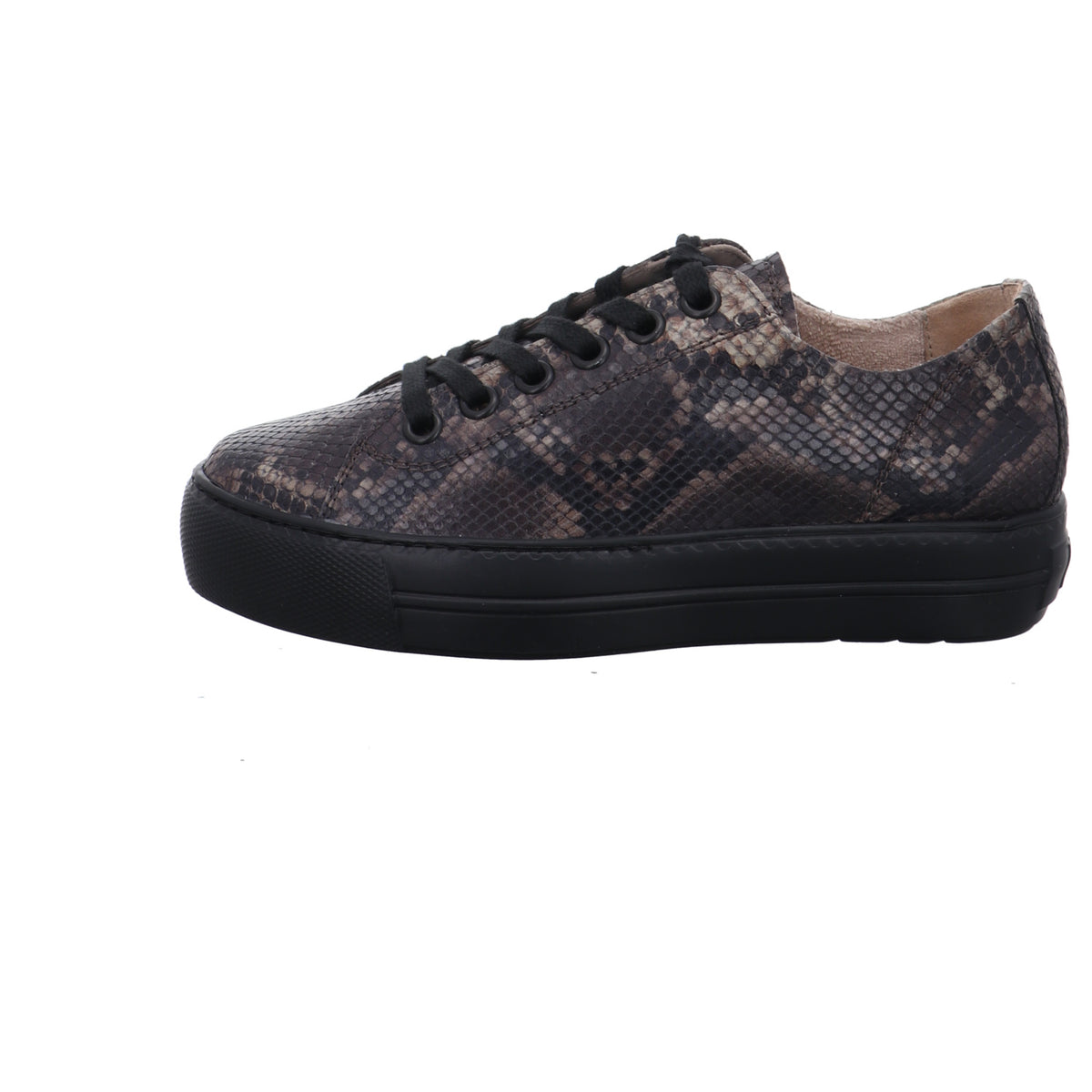 Paul Green | 4790-818