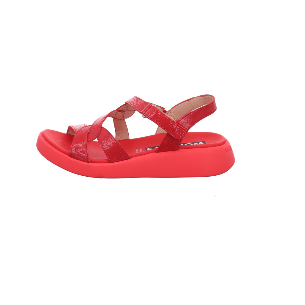 Wonders | C-6541-ROJO