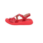 Wonders | C-6541-ROJO