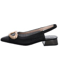 Hispanitas | HV253955-C002