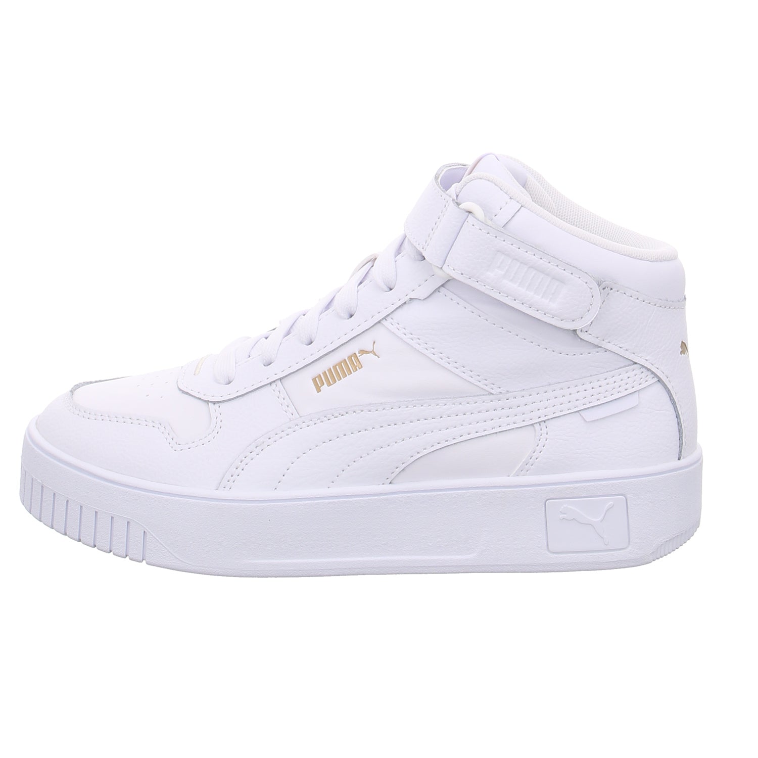 Puma |