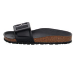 Verbenas | 330402V-0014-0042