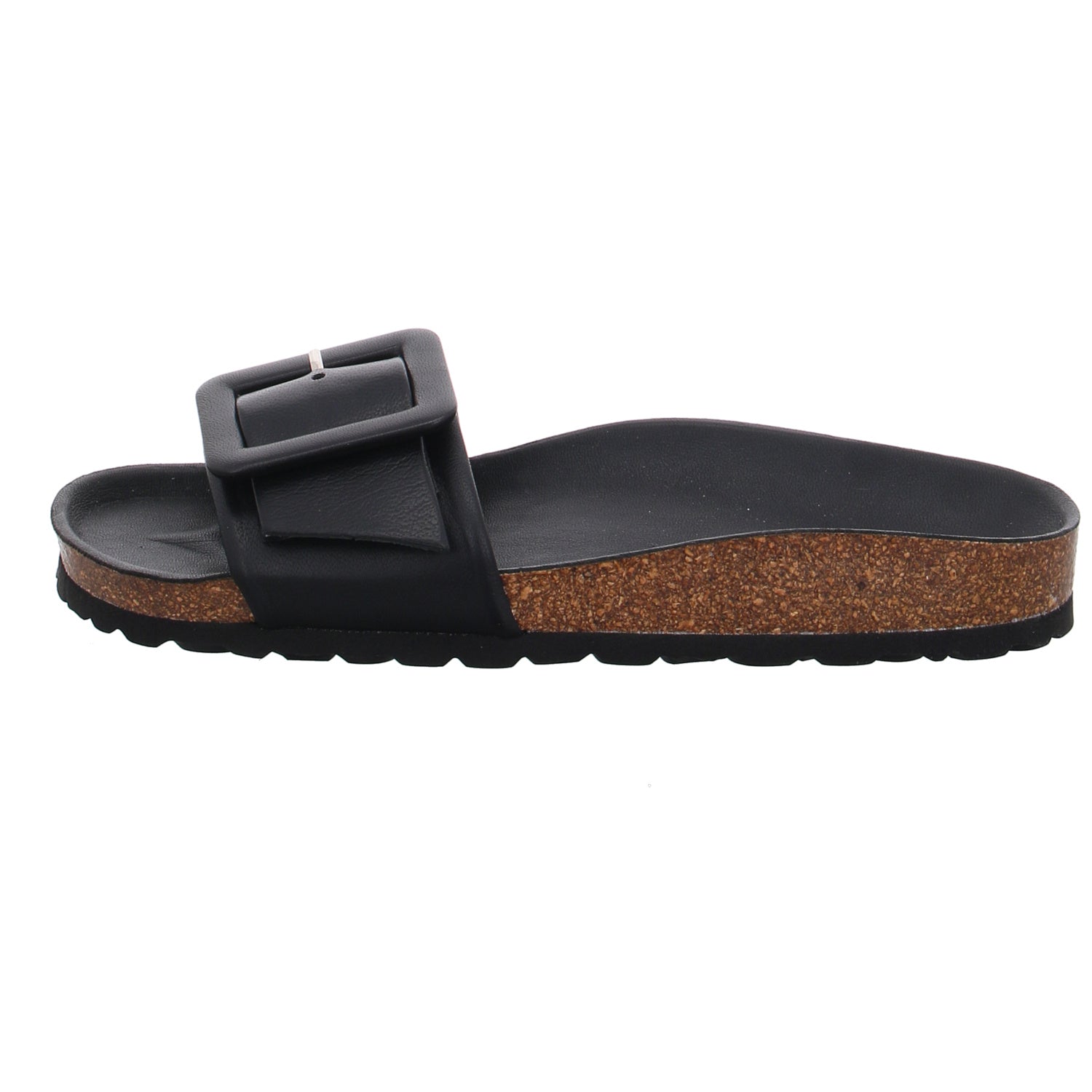 Verbenas | 330402V-0014-0042