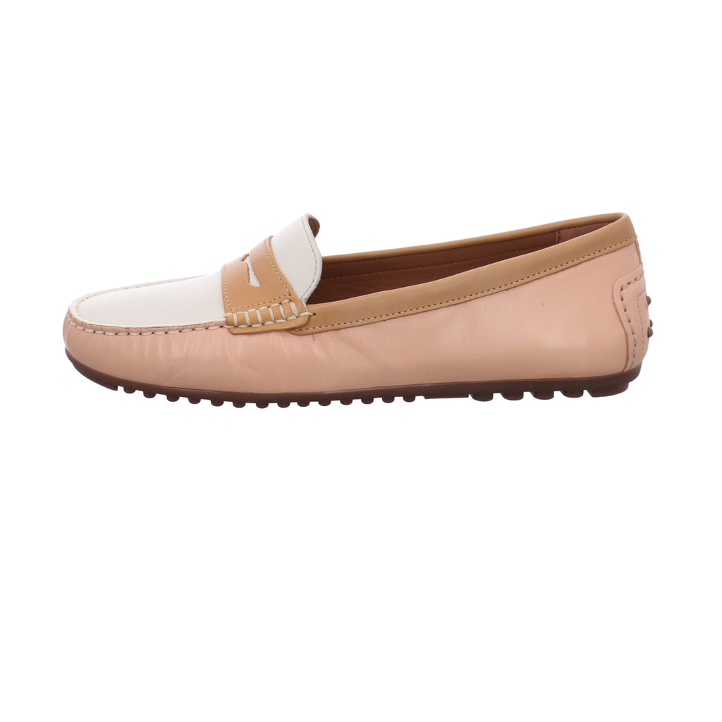 Wirth | 75506-candy/savana/birch