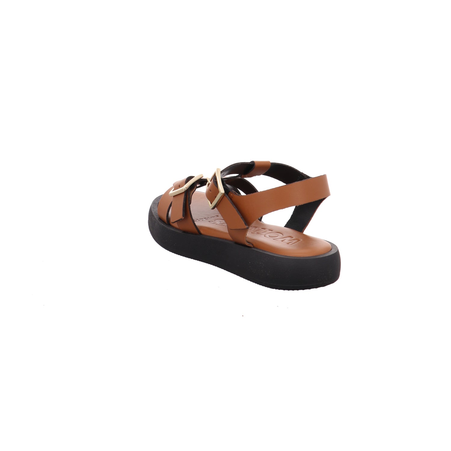 Wonders | AB-1012-CUERO