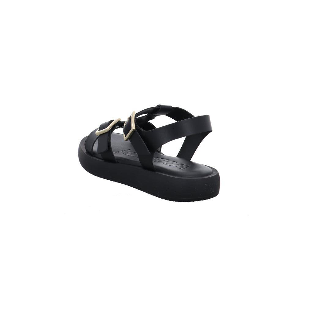 Wonders | AB-1012-NEGRO
