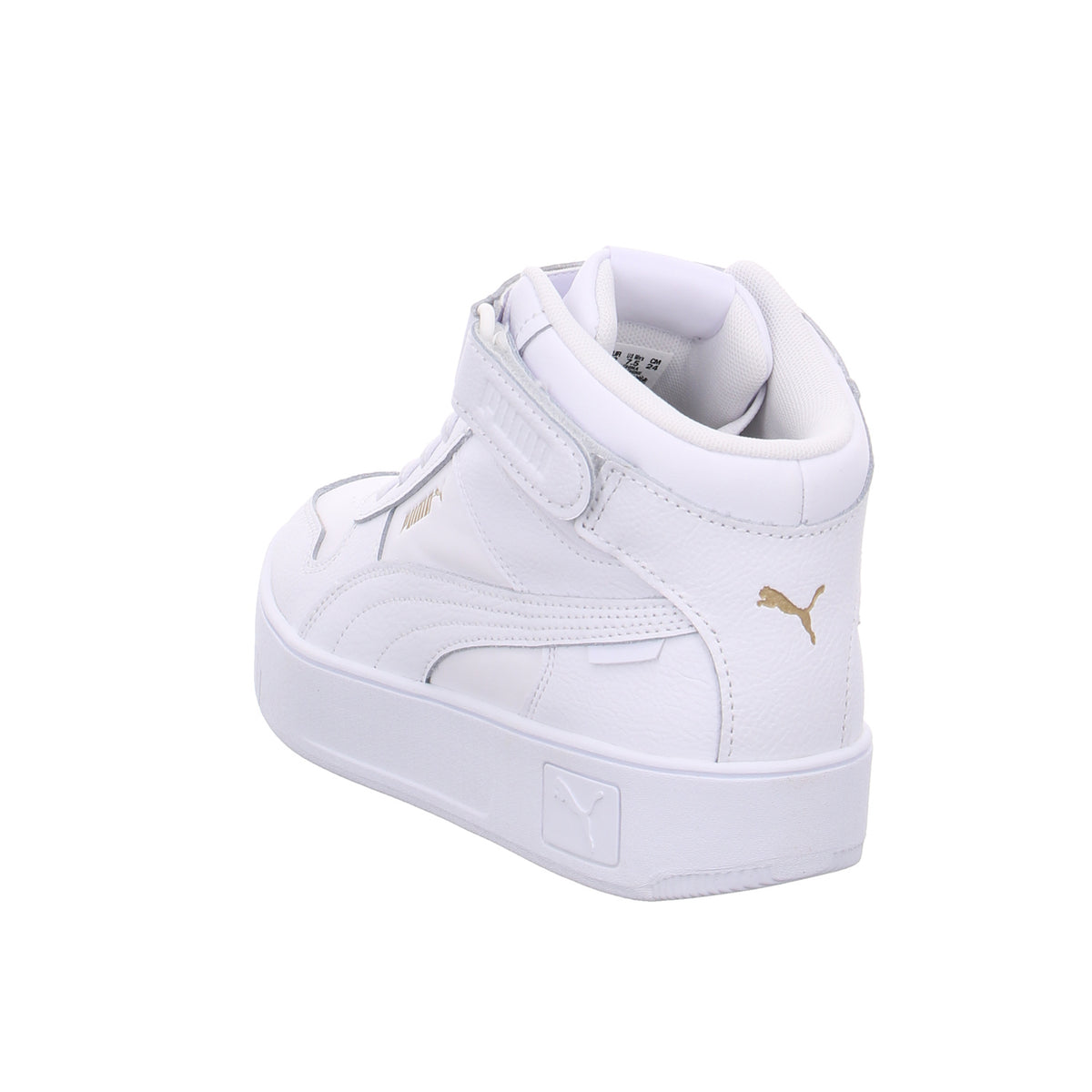 Puma |