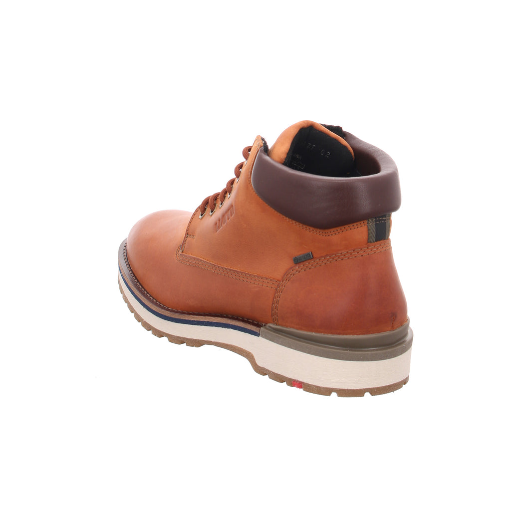 Lloyd | 2451513