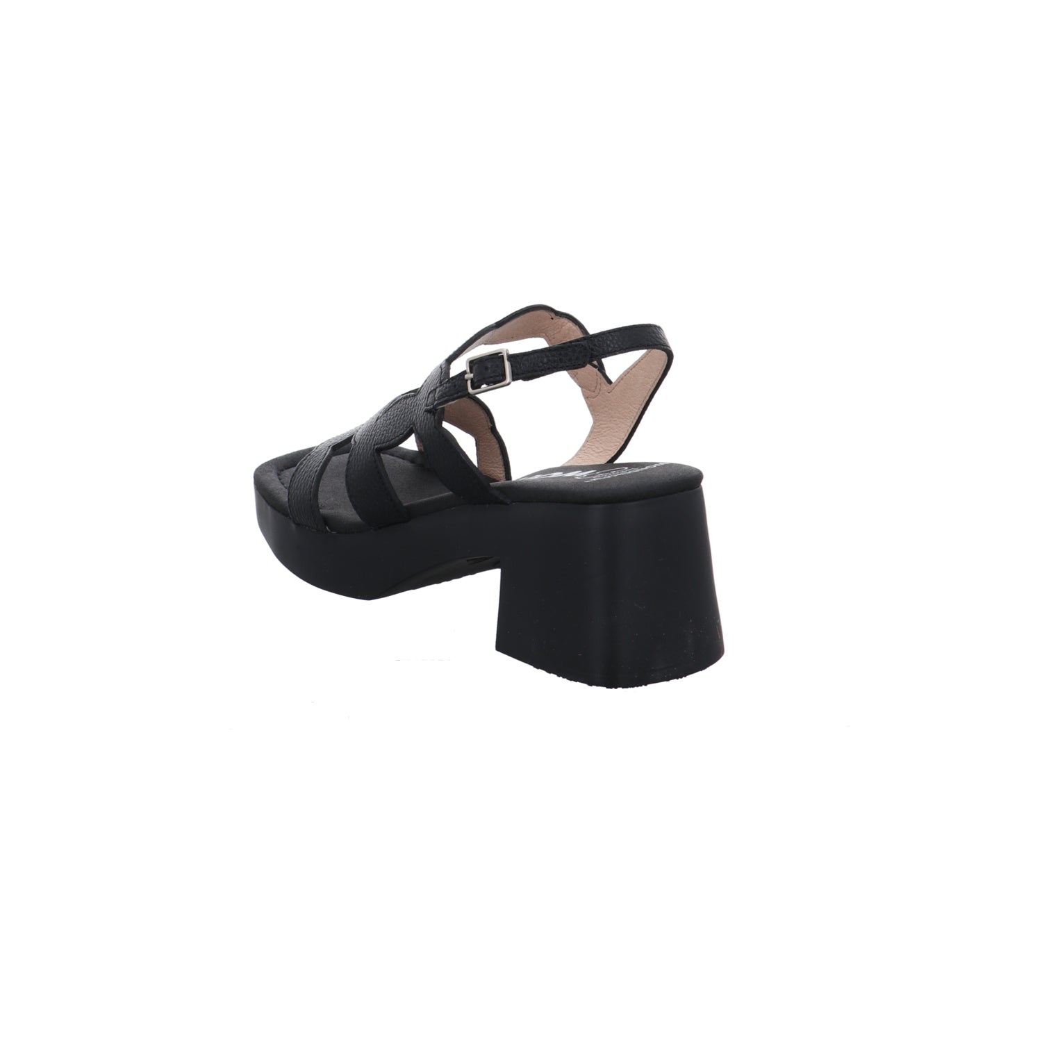 Wonders | D-1020-NEGRO