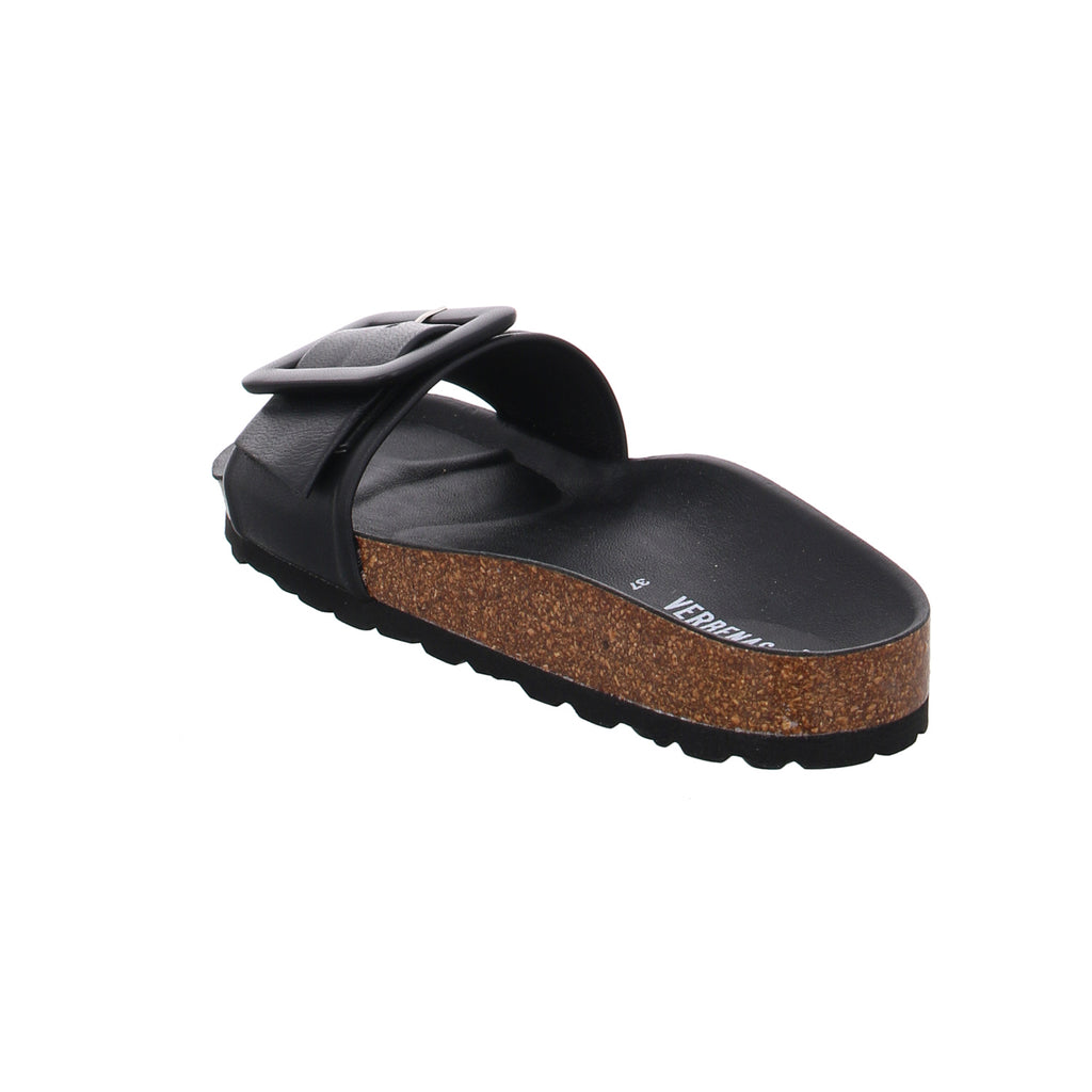 Verbenas | 330402V-0014-0042