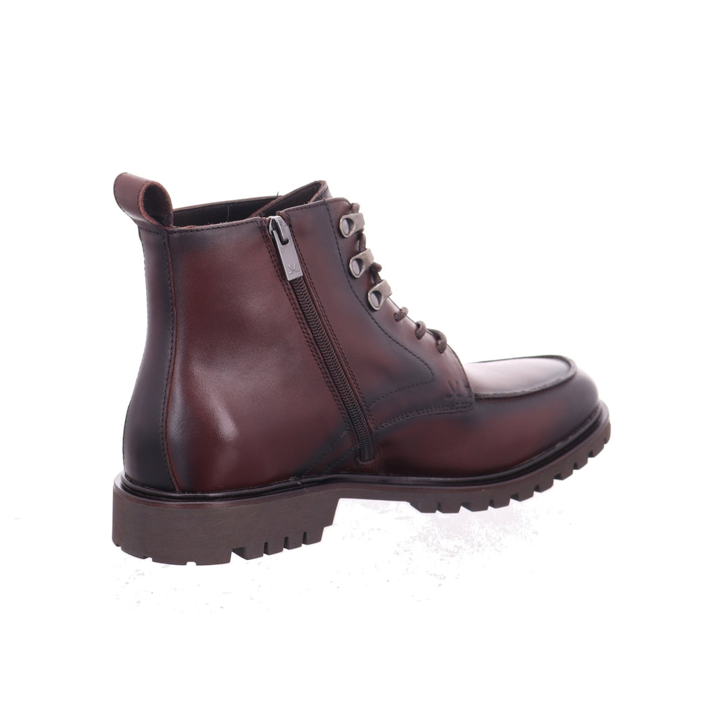 Lloyd | 2664305