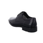 Lloyd | 2550400
