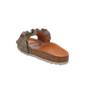 Verbenas | 330062V-0220-0915
