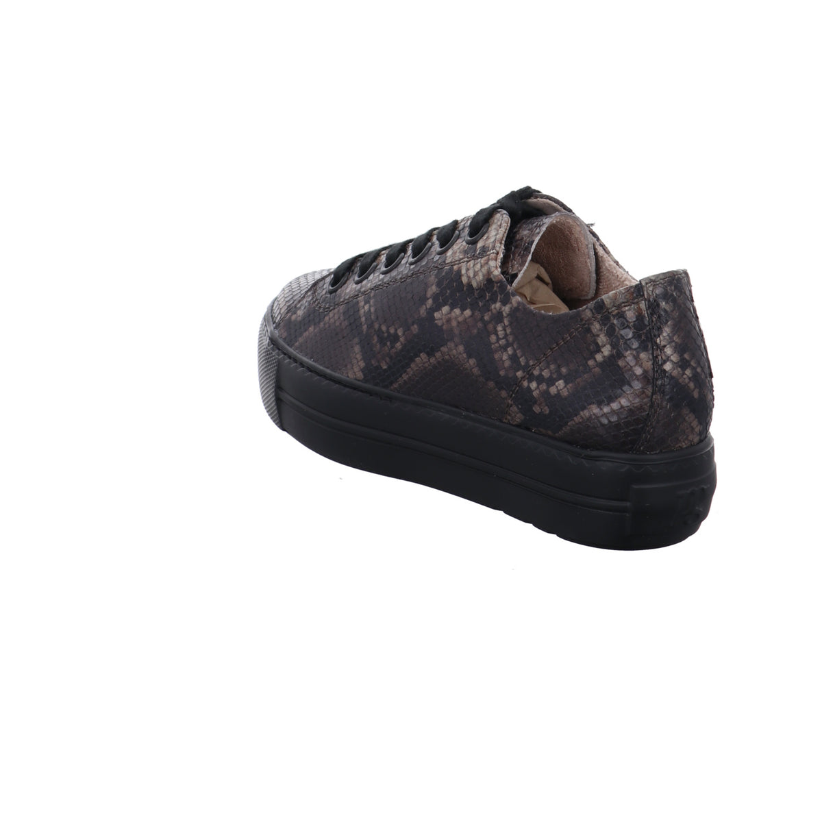 Paul Green | 4790-818