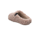 Verbenas | 5860500660-070