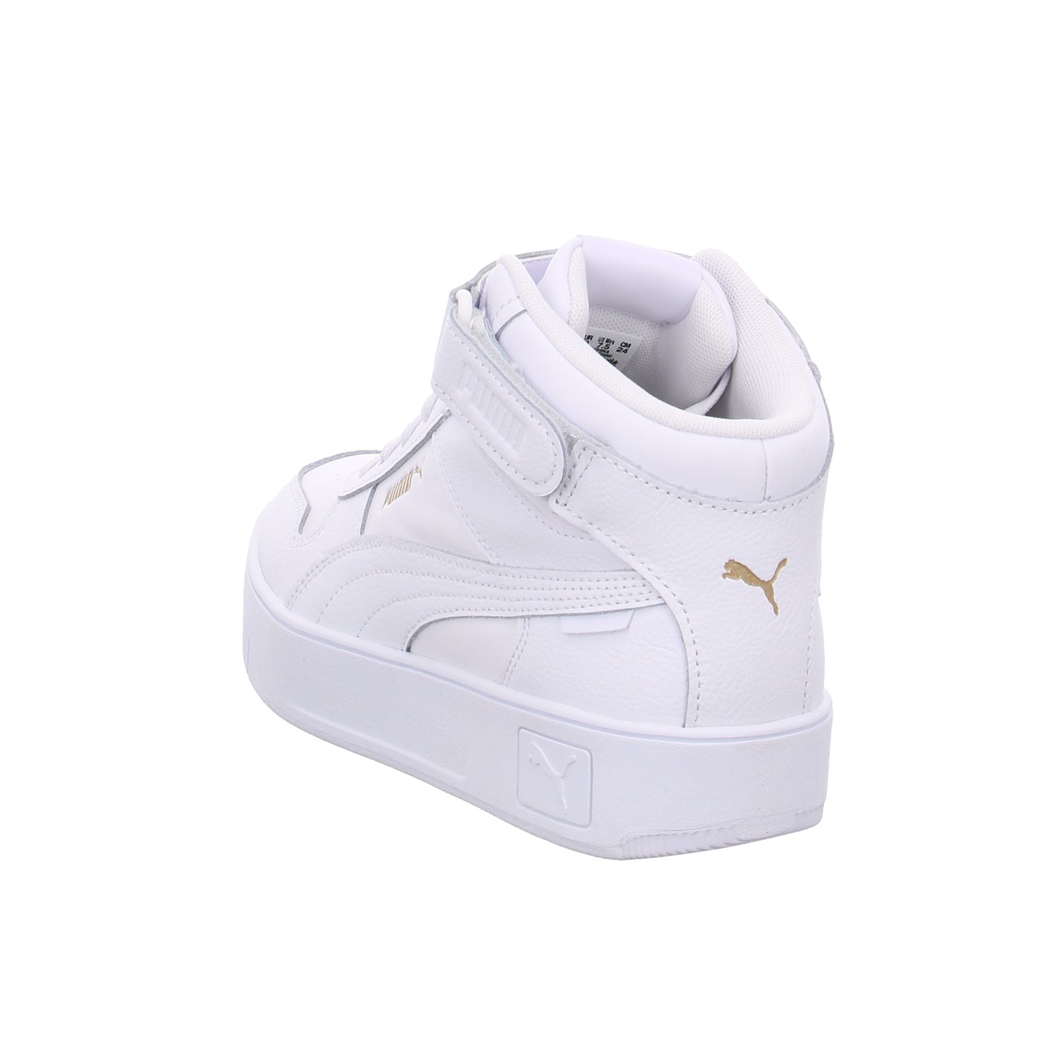 Puma |