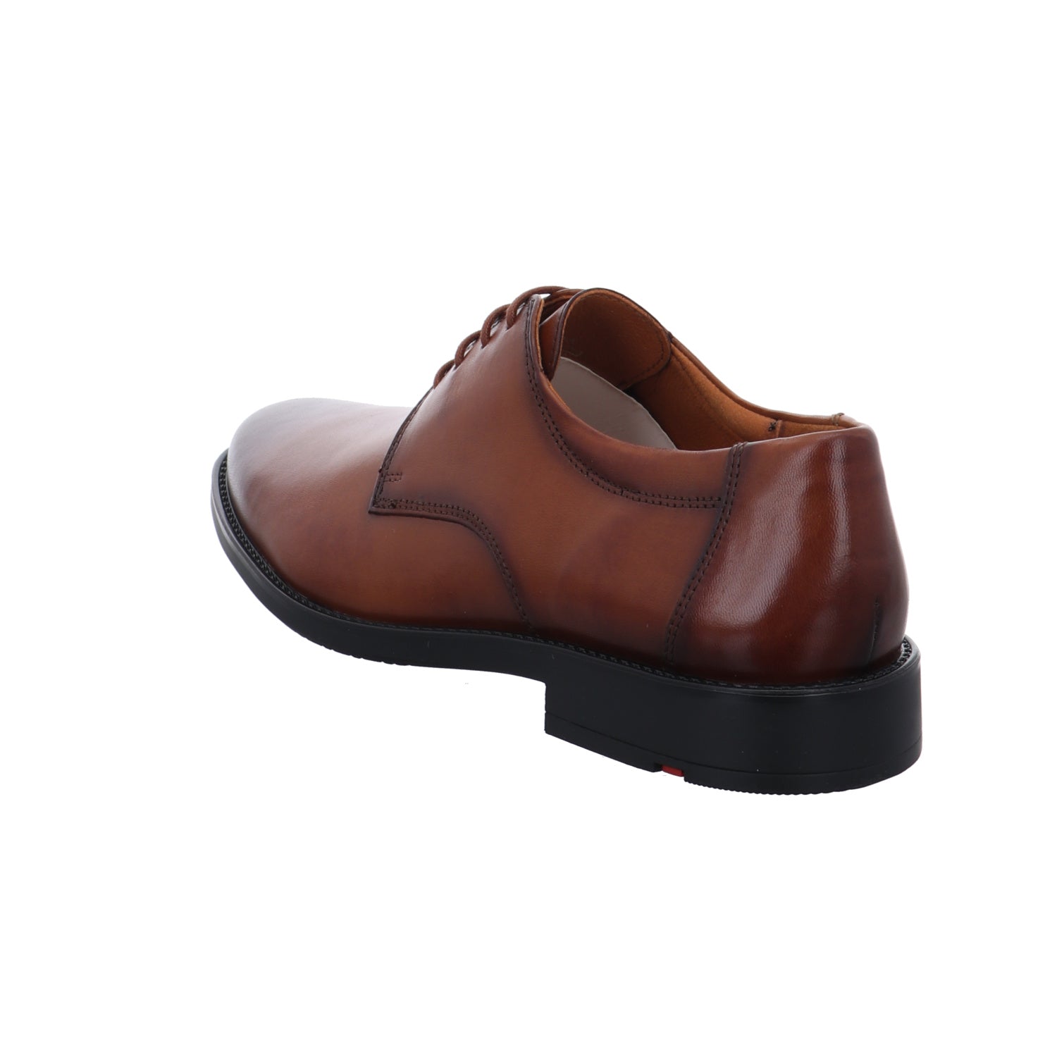 Lloyd | 2550403