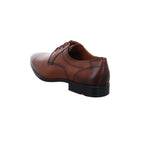 Lloyd | 2550503