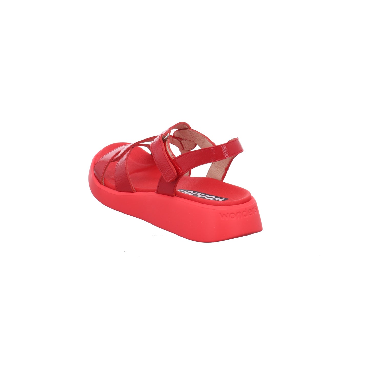 Wonders | C-6541-ROJO
