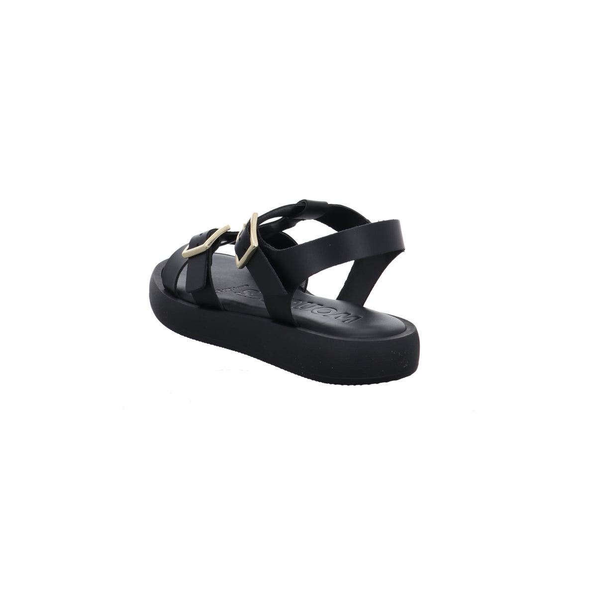 Wonders | AB-1012-NEGRO