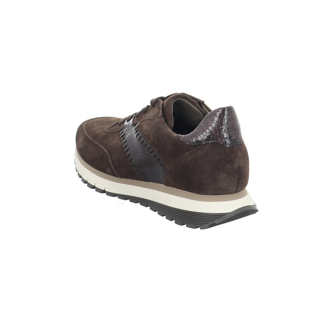 Gabor | 6029.02.002