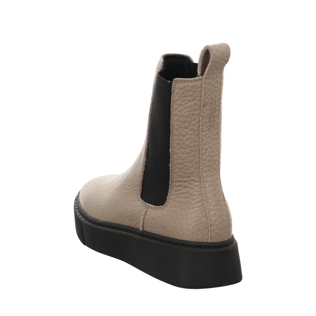 Donna Carolina | 48168033