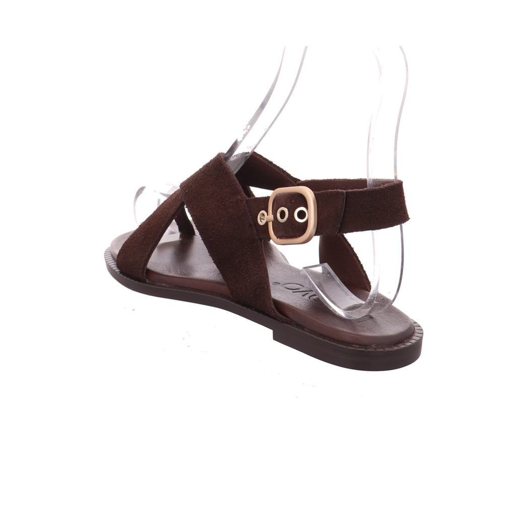 Inuovo |