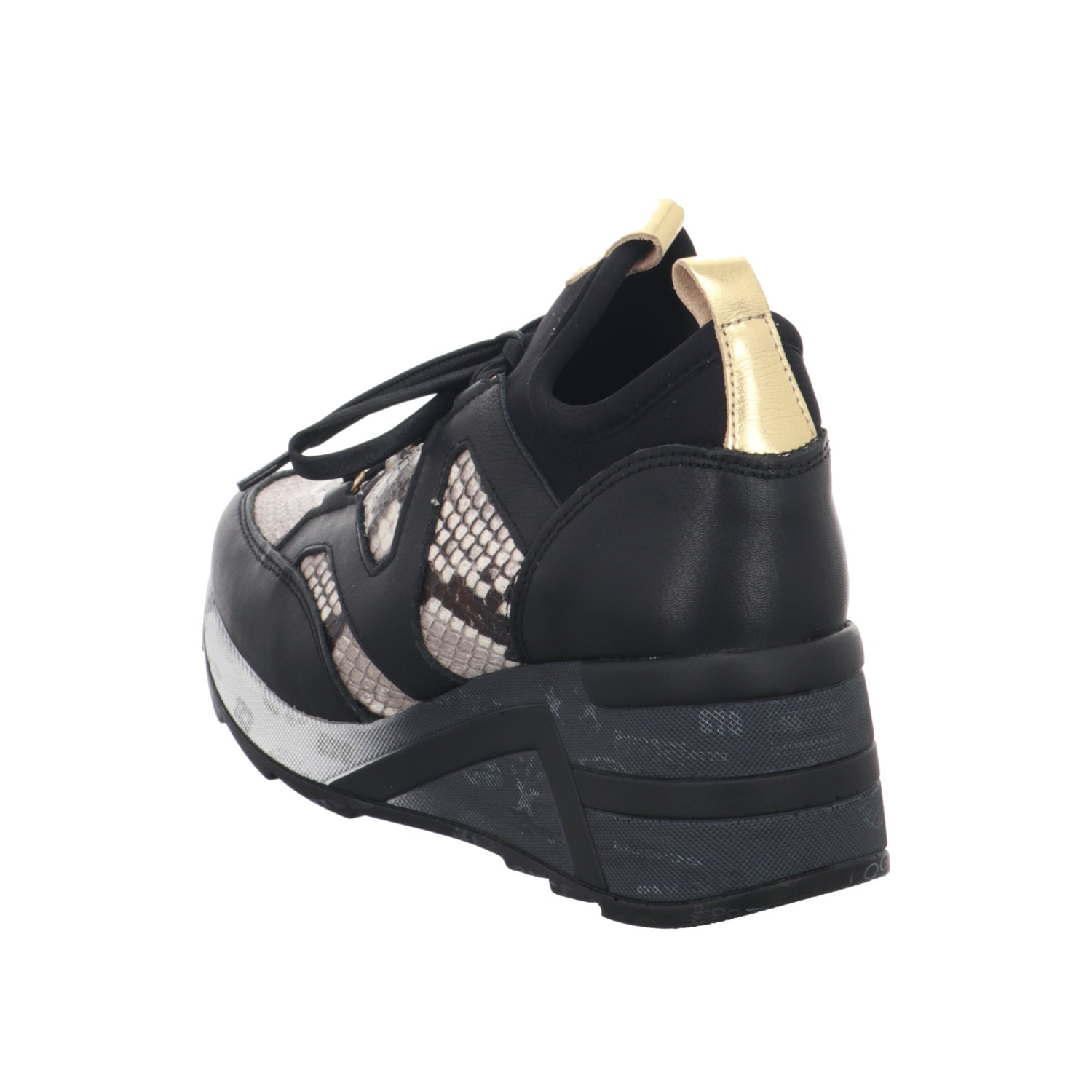 Cetti | C1204