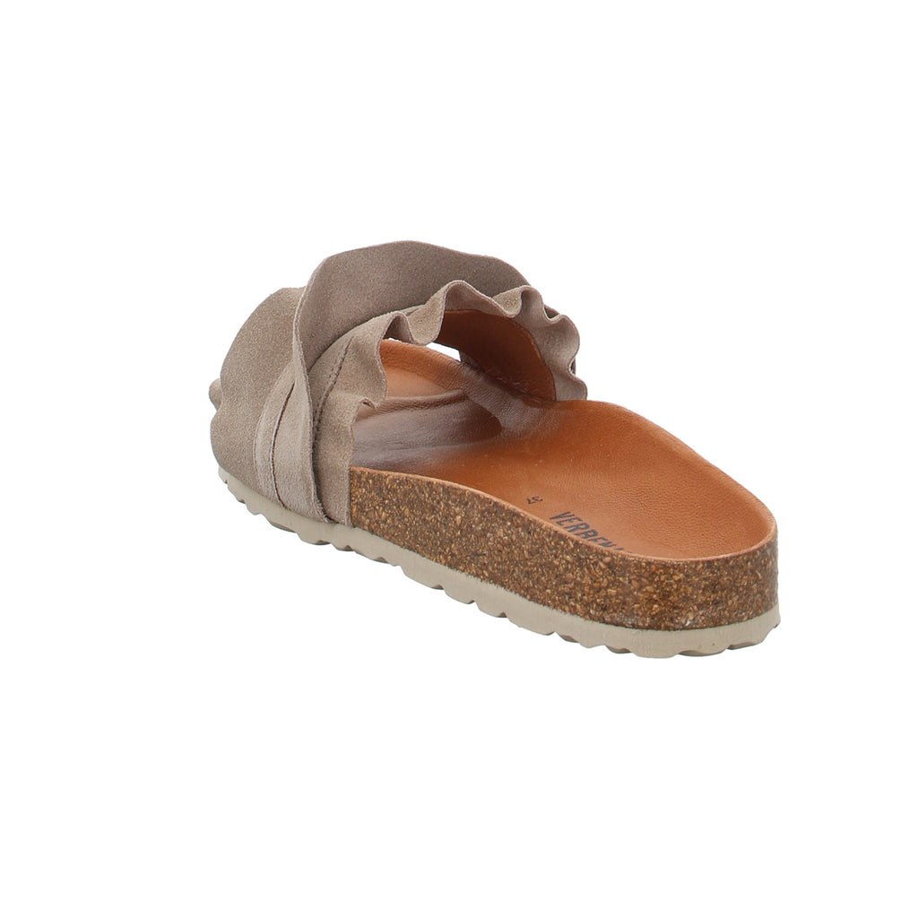 Verbenas | 330062V-0220-746