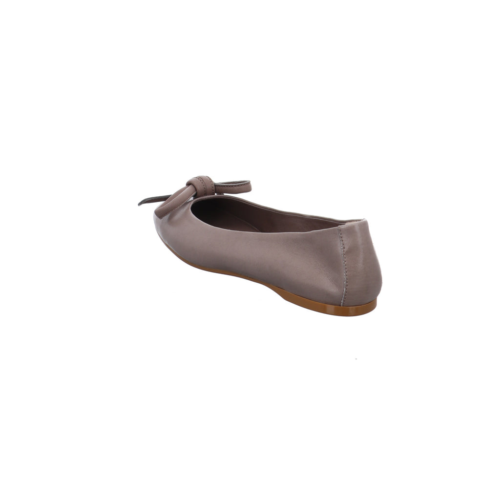 Caiman I C267-TORTORA