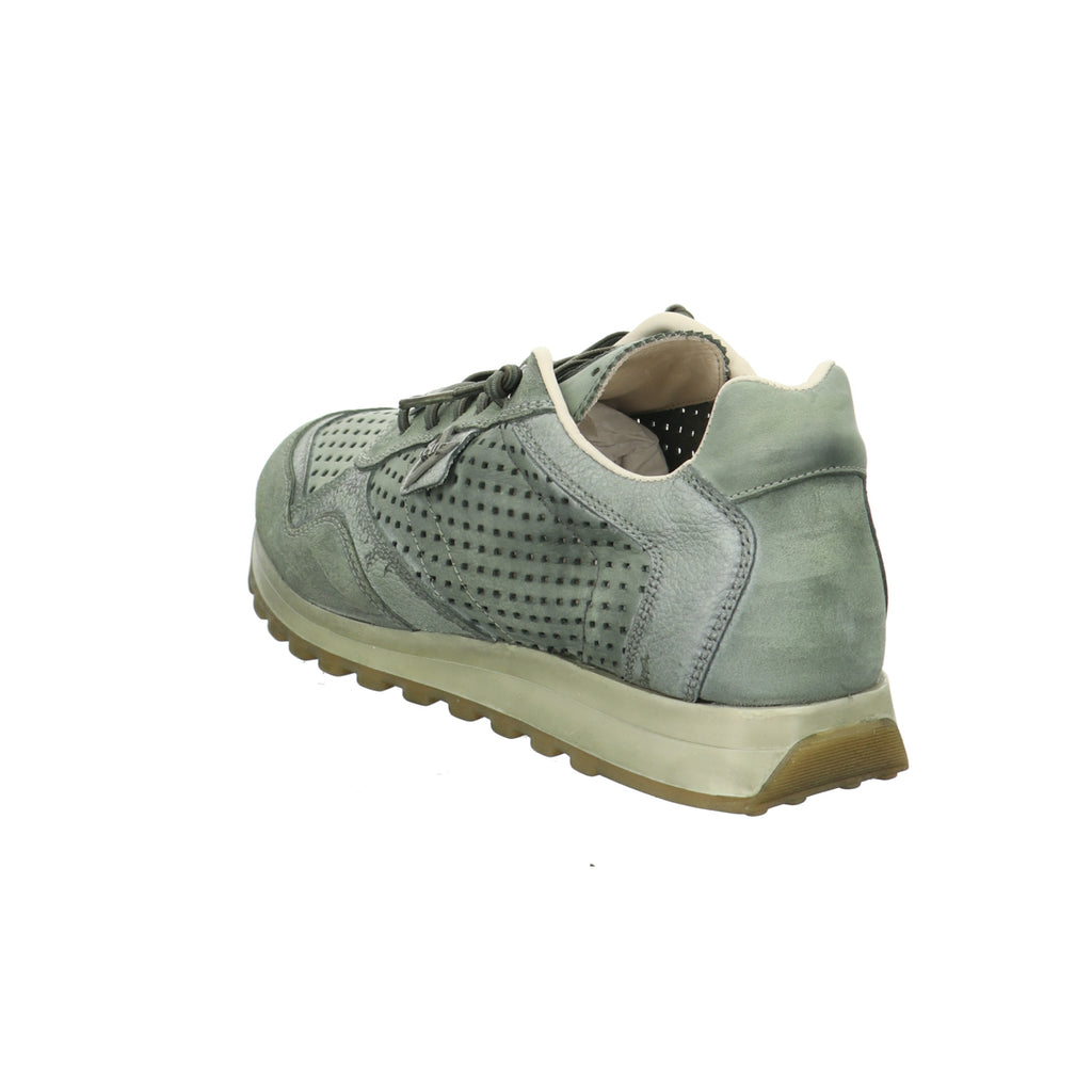 Cetti | C-848 V26-USED TIN KOMBAT